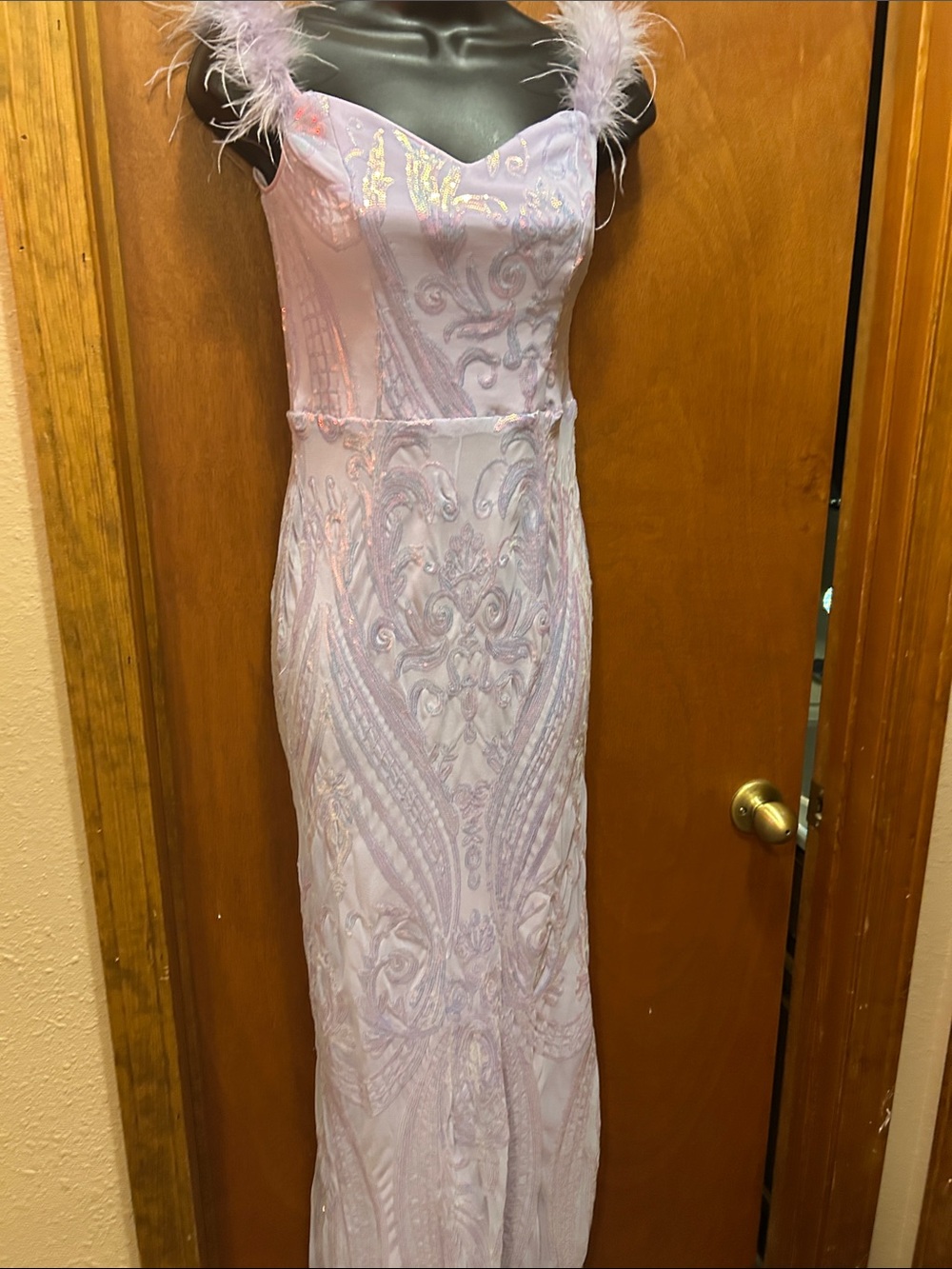 Elegant Feather-Trim Lilac Special Occasion Gown